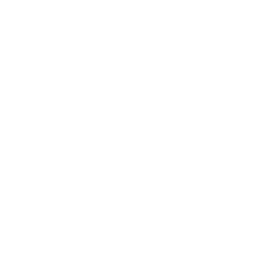 Logo Vecchia Rimini